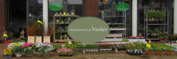 Bloembinderij de violier in omgeving RCN de Flaasbloem