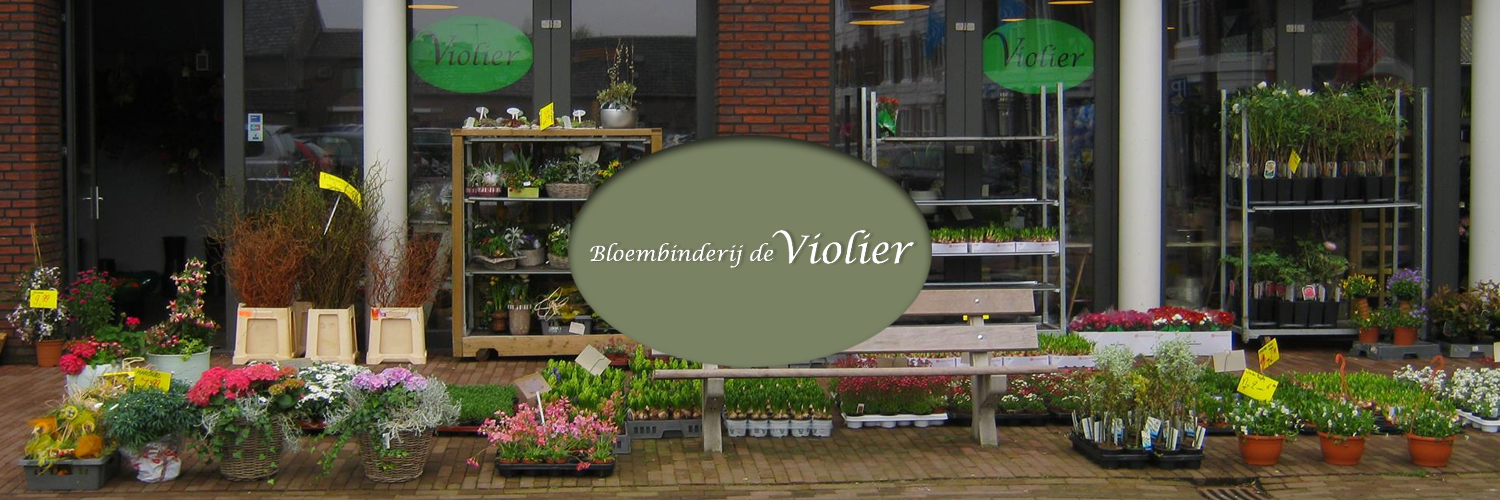 Bloembinderij de violier in omgeving Chaam, Noord Brabant