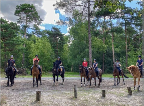 Buitenritten door de Loonse en Drunense Duinen