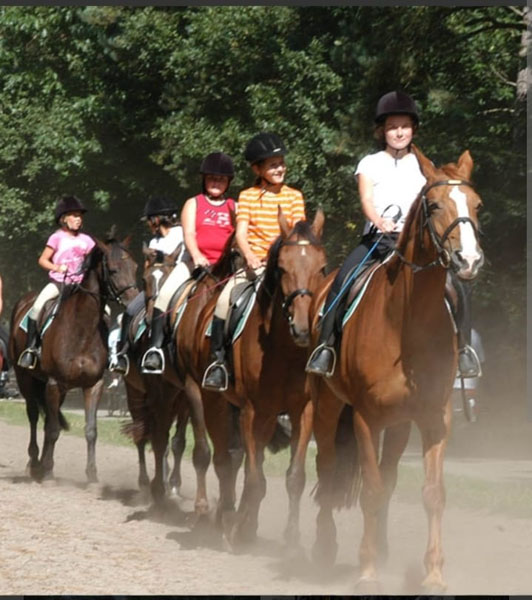 Duinritten in het Nationaal park de Loonse en Drunense Duinen, rondom Kaatsheuvel