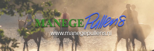 Manege Pullens in omgeving Kaatsheuvel