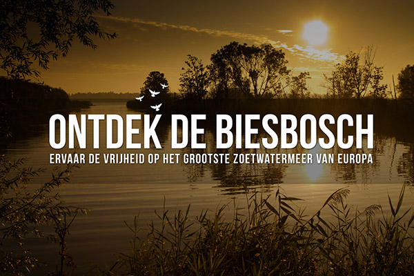 Ontdek de Biesbosch