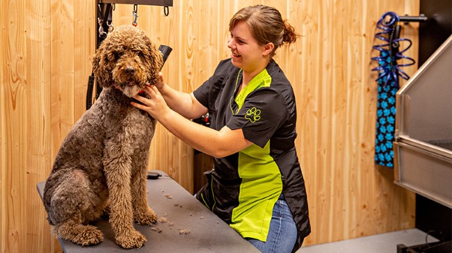 trimsalon hond animal center kaatsheuvel