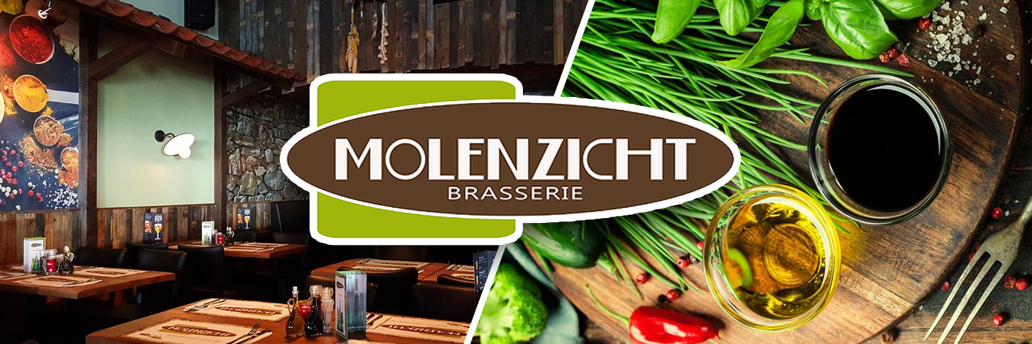 Brasserie Molenzicht in omgeving Ouddorp, 