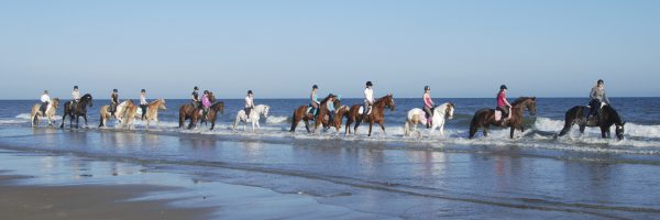 Ponyhof Aagtekerke in omgeving Domburg