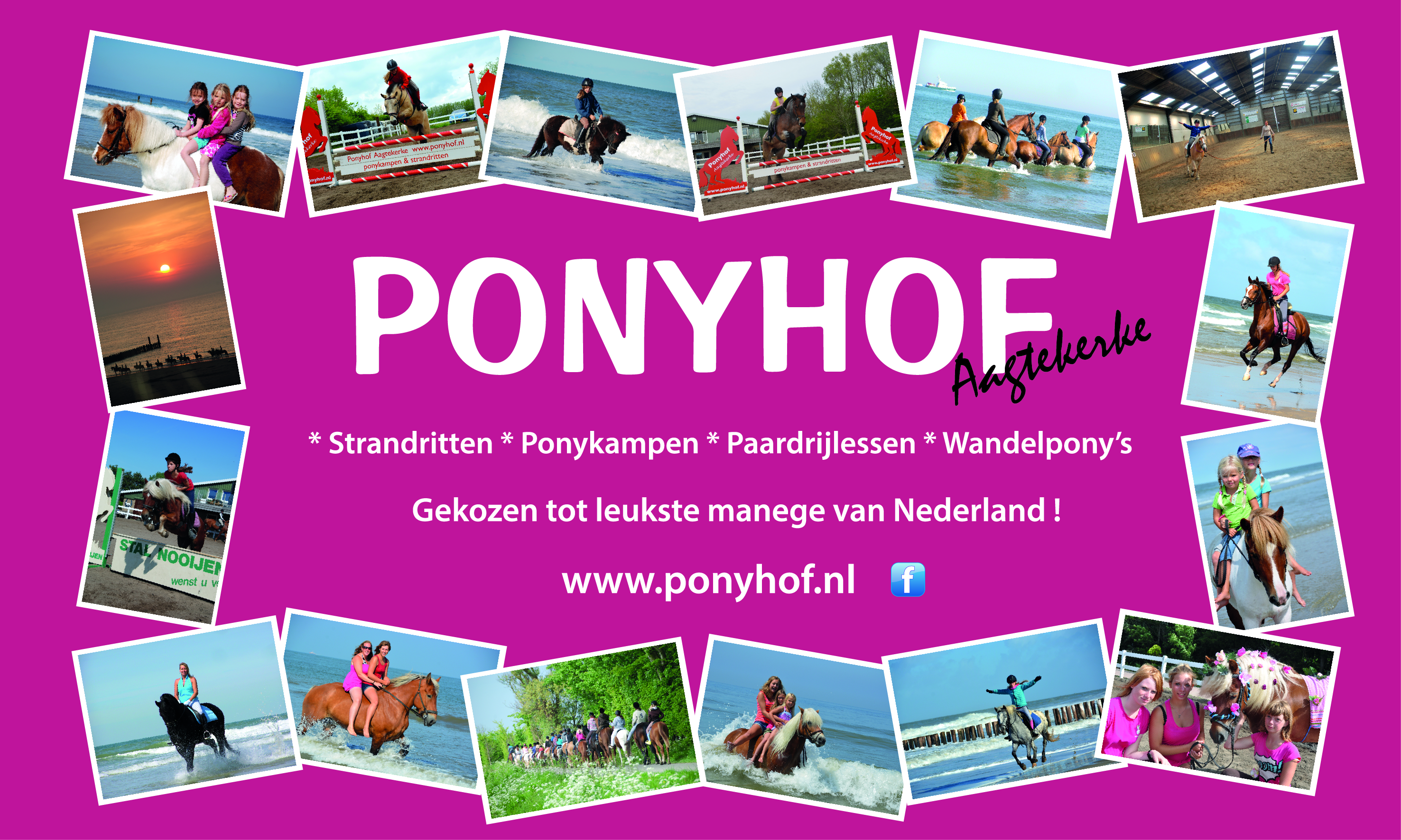 ponyhof2014-aangepast