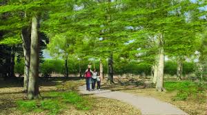 Doorn, bossen, wandelen en fietsen, genieten in de natuur, dagje uit tips