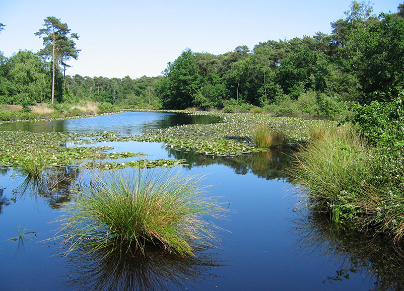 foto-oisterwijk-1