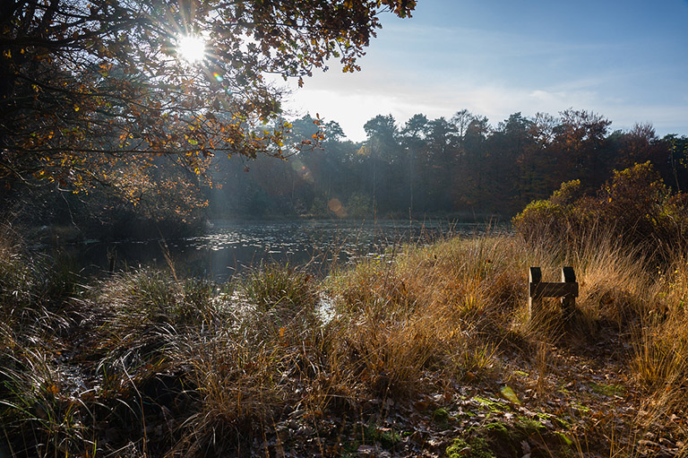 foto-oisterwijk-3