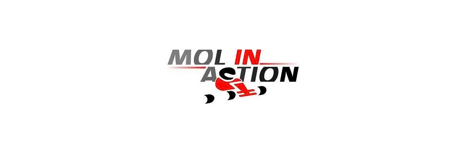 Mol in Action in omgeving Mol, 