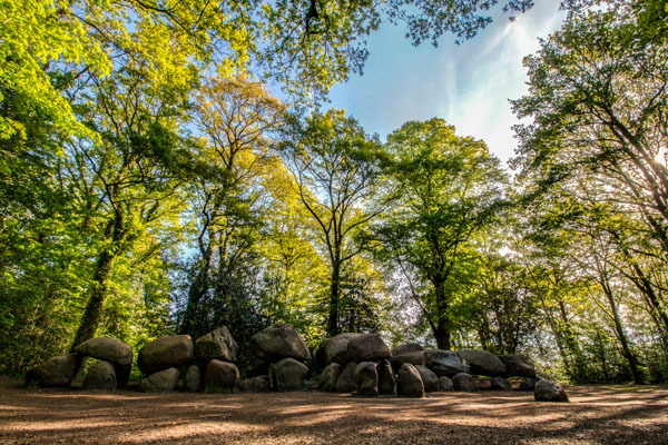 Hunebedden Borger