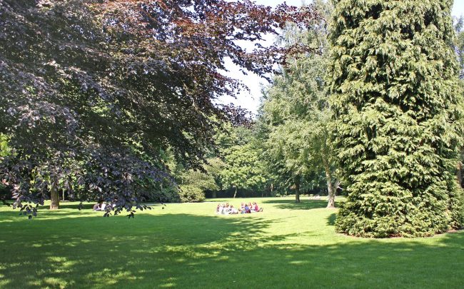 Park lommel, bossen, natuur, bezienswaardigheden, dagje uit met het gezin