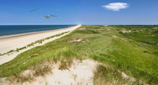 Genieten van de natuur, Domburg, strand en duinen