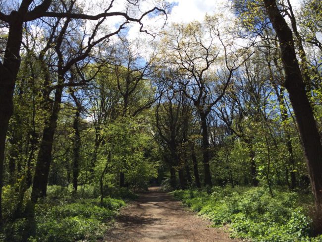 Natuurgebied Asten, wandelen en dagjes uit