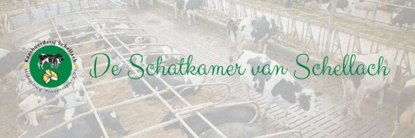 Kaasboerderij Schellach in omgeving Kamperland