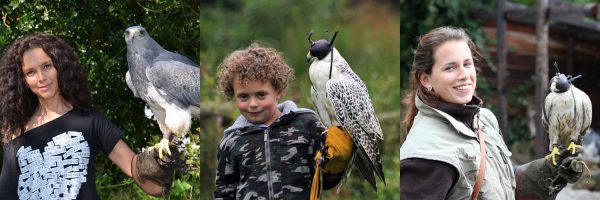 Falconcrest in omgeving Noord Brabant