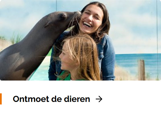 Ontmoet de dieren