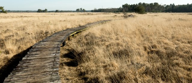 Natuurgebieden Someren, dagje uit, wandelen en bezienswaardigheden