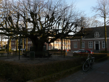 Oisterwijk Lindeboom