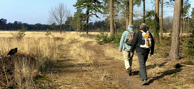 Chaam natuurgebied