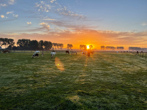 Prachtig uitzicht bij Manege Oostmoer