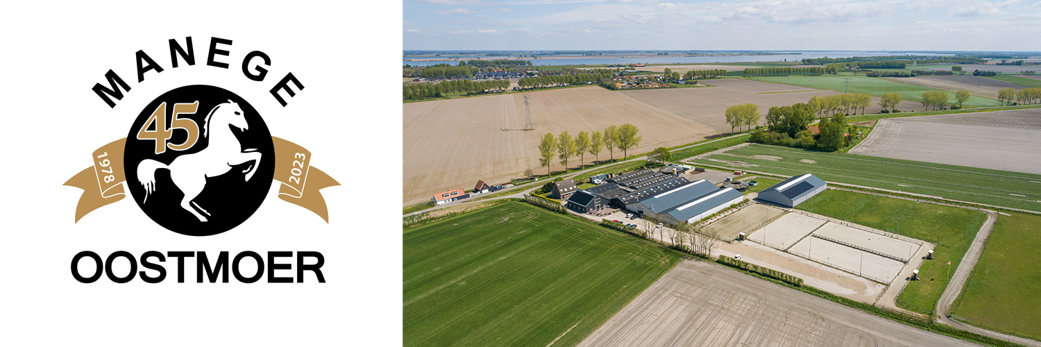 Manege Oostmoer in omgeving Stad aan 't Haringvliet, Zuid Holland
