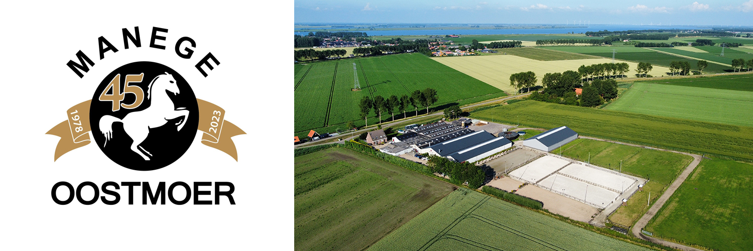 Manege Oostmoer in omgeving Stad aan 't Haringvliet, Zuid Holland