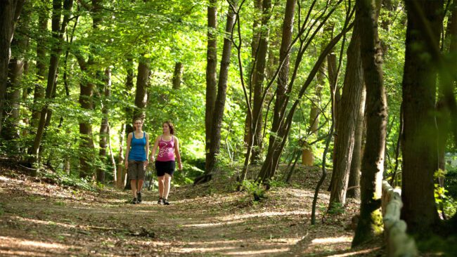 Wandelen rondom Hoeven, dagje uit in de natuur, bezienswaardigheden
