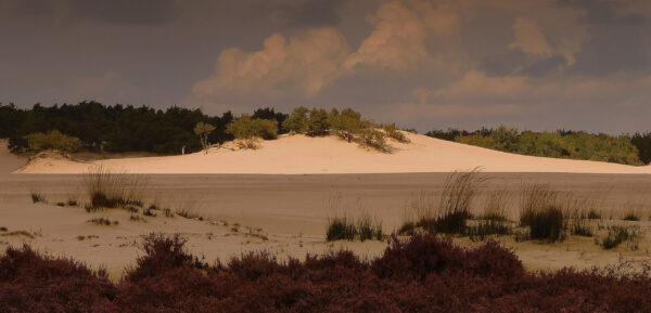 Nationaal Park Loonse en Drunense Duinen, Noord-Brabant, Dagje weg, genieten in de natuur, actief uitje