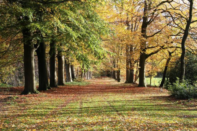 bossen, oosterhout, dagje weg, natuur, bezienswaardigheden, uittips