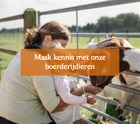 Maak kennis met onze boerderijdieren