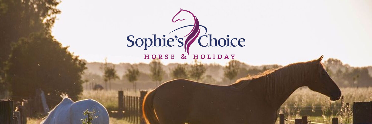 Sophie’s Choice Horse & Holiday in omgeving Vrouwenpolder, 