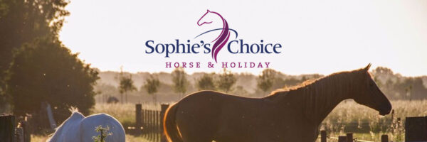 Sophie’s Choice Horse & Holiday in omgeving Domburg