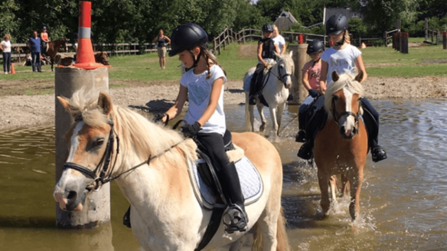 paardrijden op het strand bij zonsondergang ouddorp