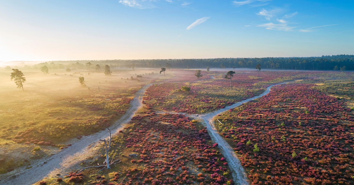 Bekijk alles in Noord Brabant