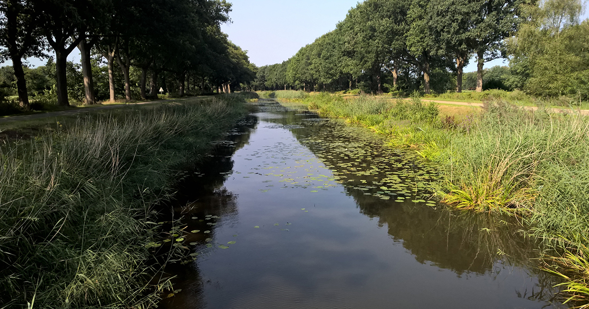 Alles in Overijssel ansehen