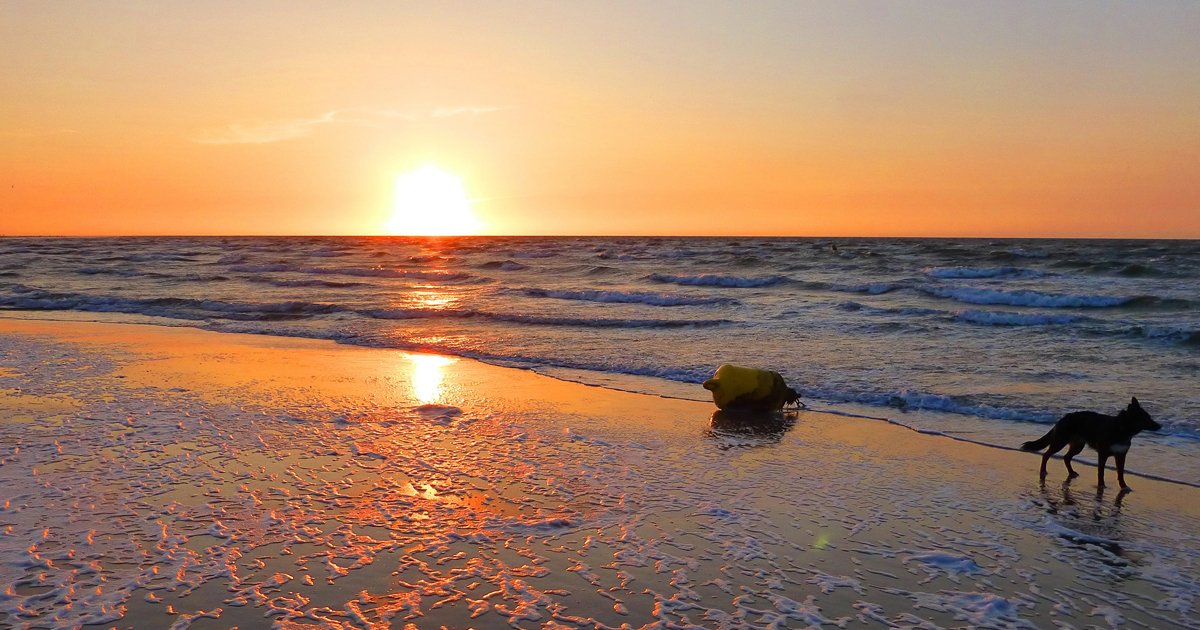 Bekijk alles in Zeeland