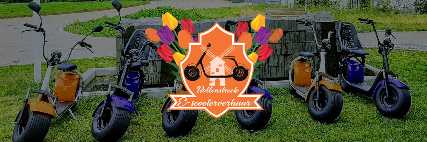 E-scooterverhuur Bollenstreek in omgeving Hillegom, Zuid Holland