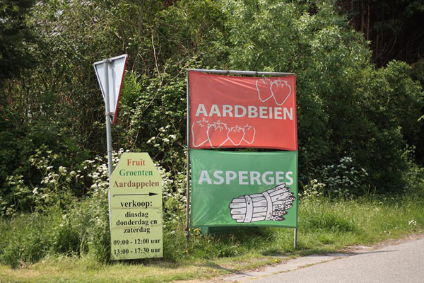 Verse aardbeien en asperges