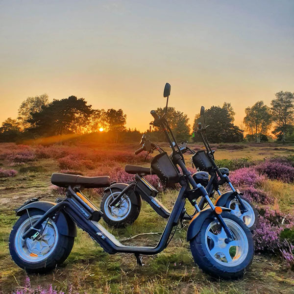 Geniet van de ondergaande zon langs het prachtige landschap