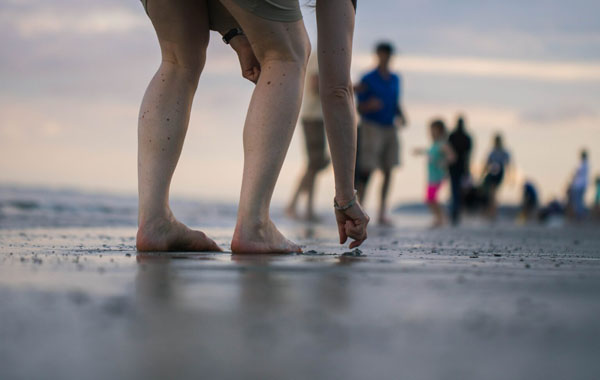 Haaientanden Zoeken In Cadzand