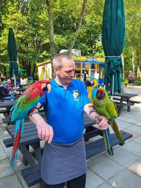 Papagaaien bij Frieterie De Bostent