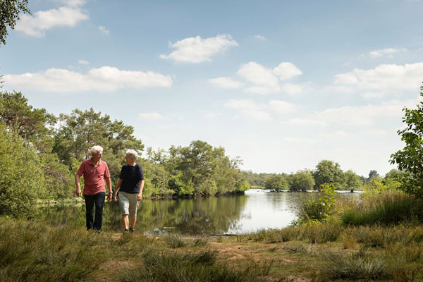 Geniet van de prachtige natuur Diessen