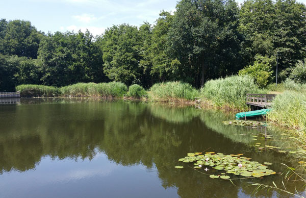 Geniet van de prachtige omgeving en natuur van Diessen