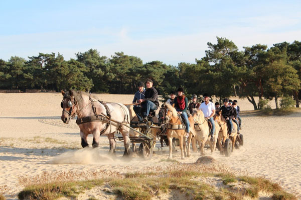 Buitenritten zonder rij ervaring bij Van Loon manege