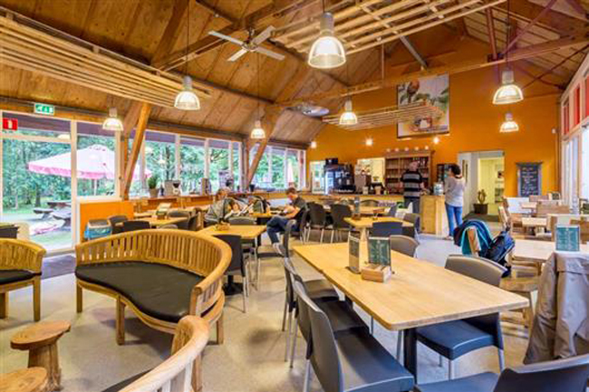 Gezellige binnenruimte van het café bij Buitencentrum Boomkroonpad met bezoekers en uitzicht op het bos