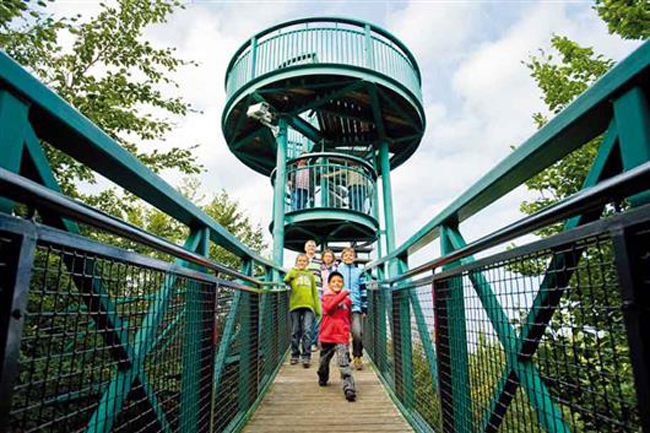 Kinderen en volwassenen wandelen over de hangbrug naar een uitkijktoren bij Buitencentrum Boomkroonpad
