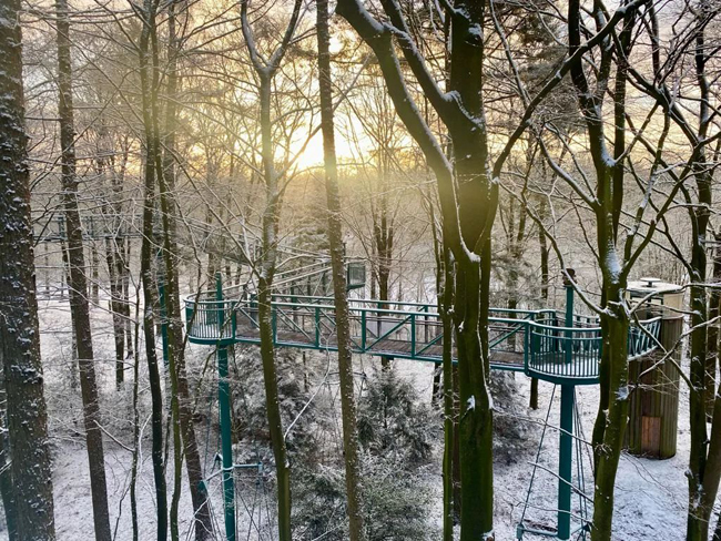 Winterse zonsopkomst over een besneeuwd boomtoppad bij Buitencentrum Boomkroonpad in Drouwen