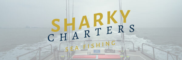 Sharky Charters in omgeving Domburg