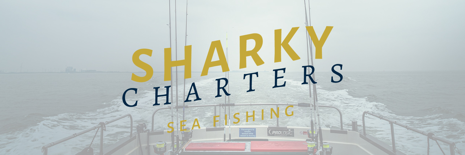 Sharky Charters in omgeving Vrouwenpolder, Zeeland